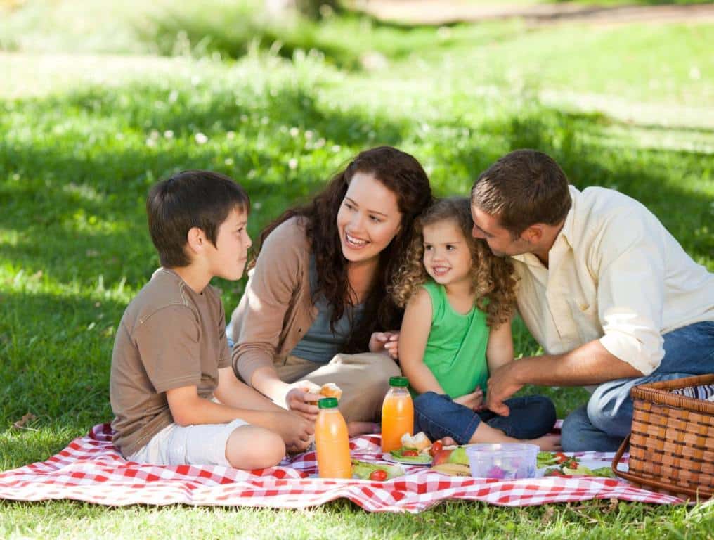 family picnicking in a park