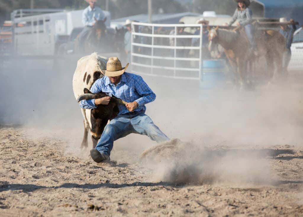 Cowboys competing at a rodeo- Cowtown rodeo