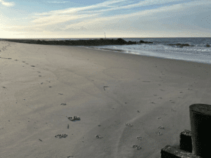 beach